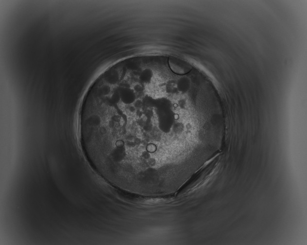 X0000100311467200806190932