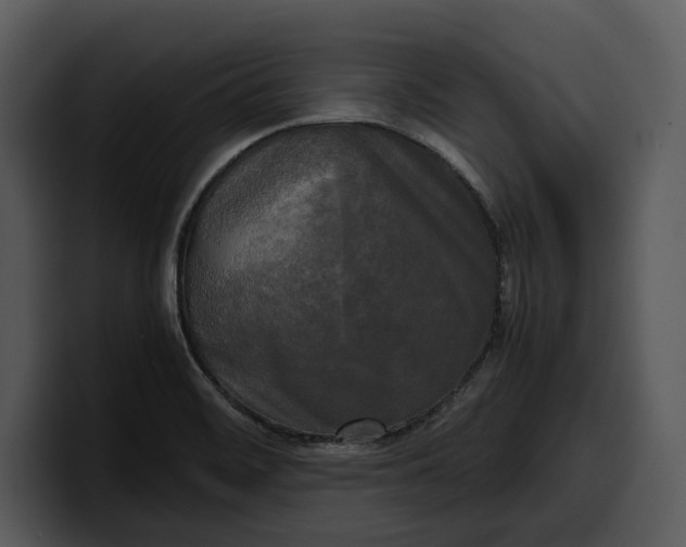 X0000100311468200806190932