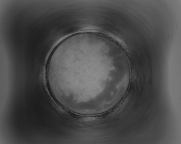 X0000100311470200806190932
