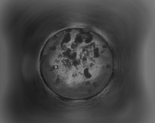 X0000100311471200806190932