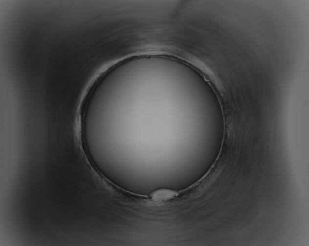 X0000100311472200806190932