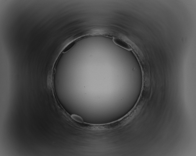 X0000100311473200806190932
