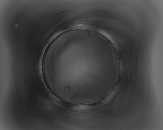 X0000100311474200806190932