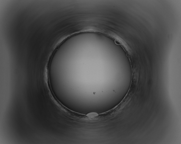 X0000100311476200806190932