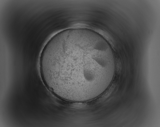 X0000100311478200806190932