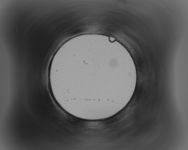 X0000100311479200806190932