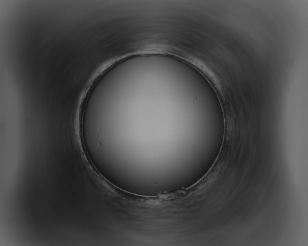 X0000100311480200806190932