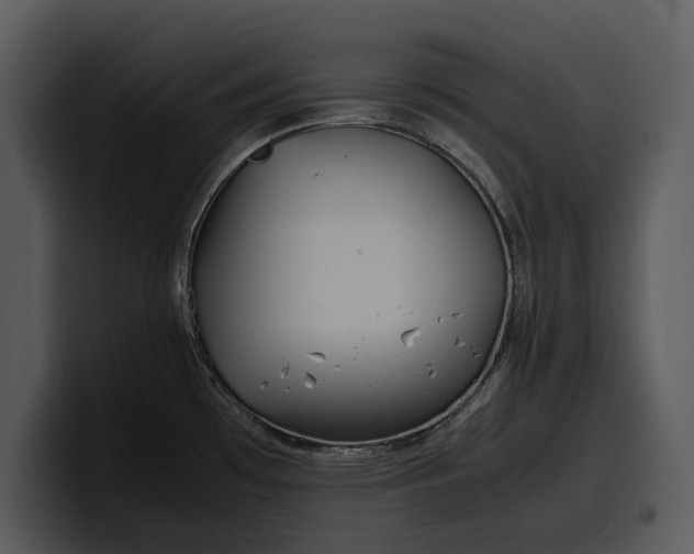 X0000100311481200806190932
