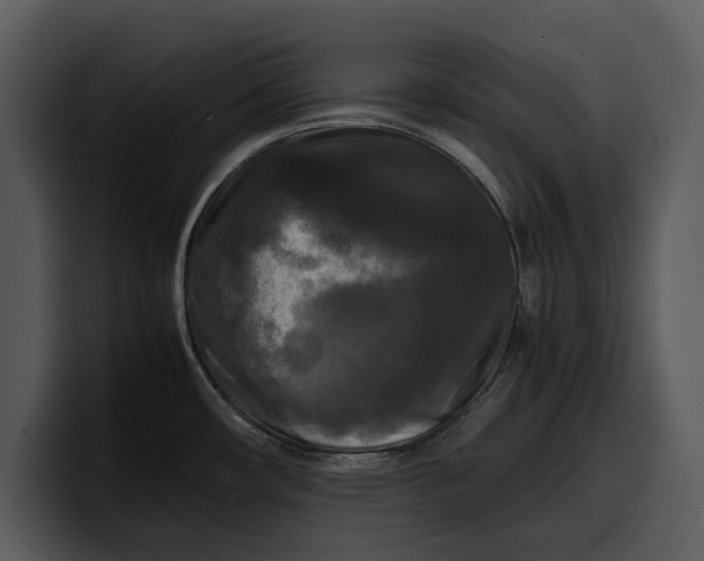 X0000100311482200806190932