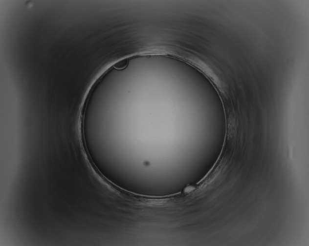 X0000100311484200806190932