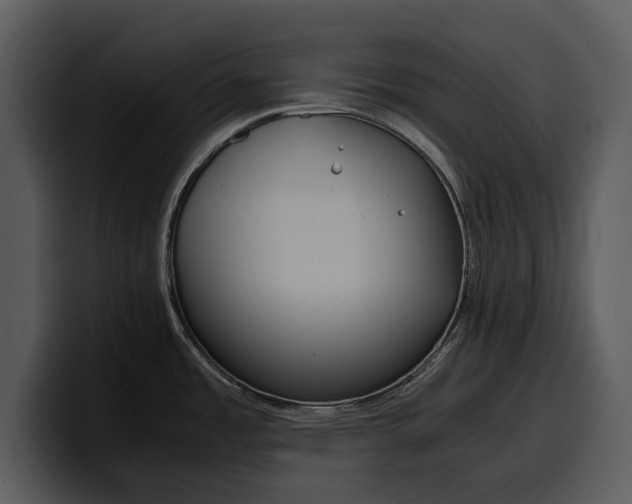 X0000100311485200806190932