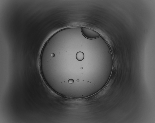 X0000100311486200806190932