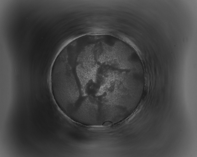 X0000100311487200806190932