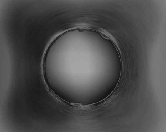 X0000100311488200806190932