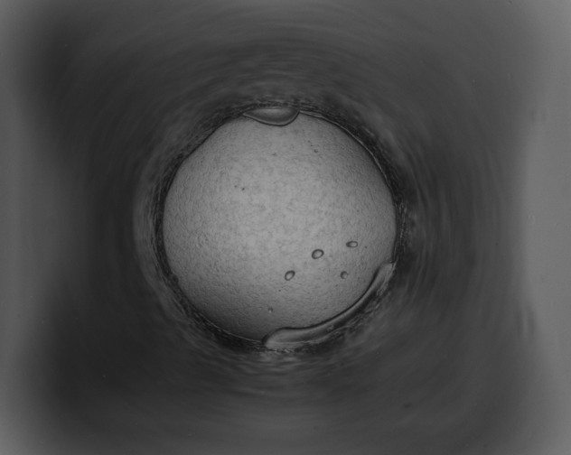 X0000100311489200806190931