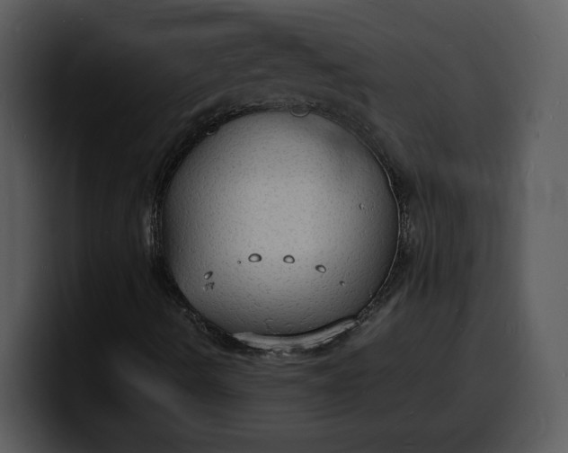 X0000100311490200806190931