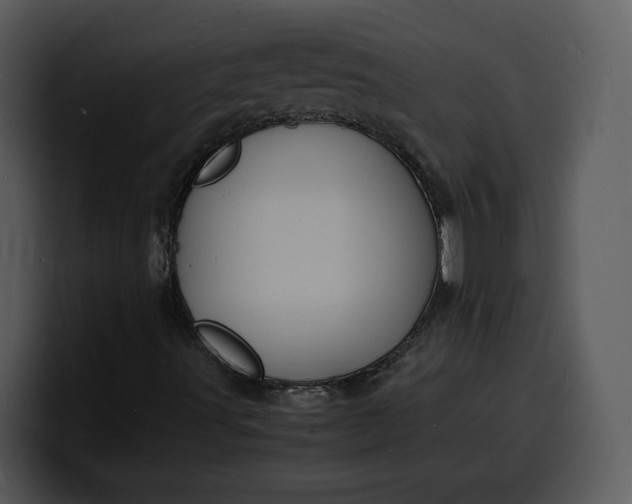 X0000100311491200806190931