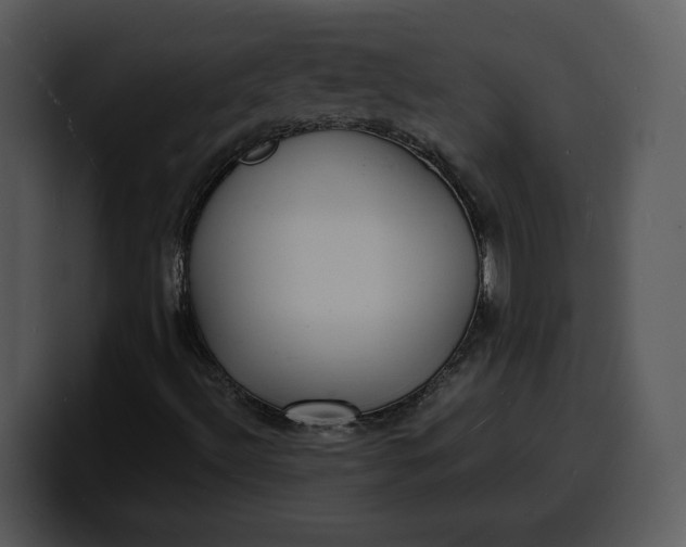 X0000100311492200806190931