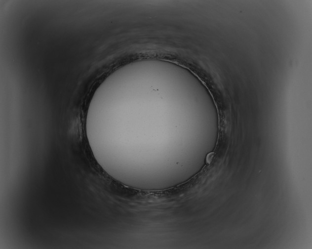 X0000100311493200806190931