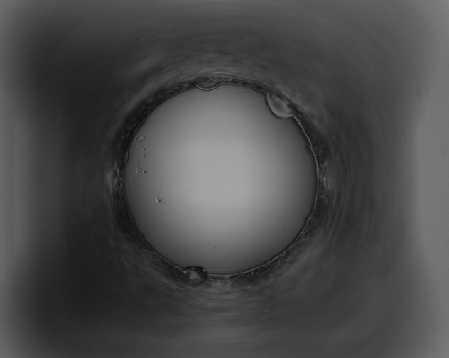 X0000100311495200806190931
