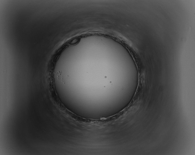 X0000100311496200806190932