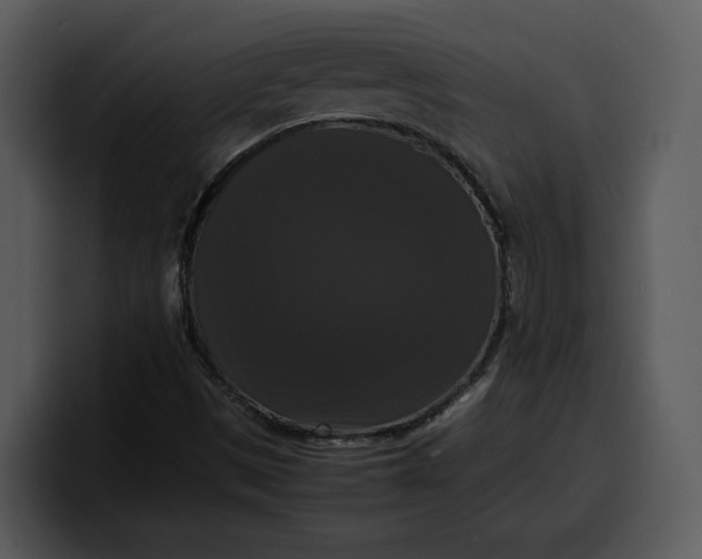 X0000100311497200806190932