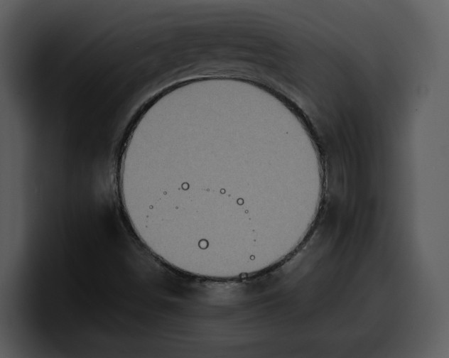 X0000100311498200806190932