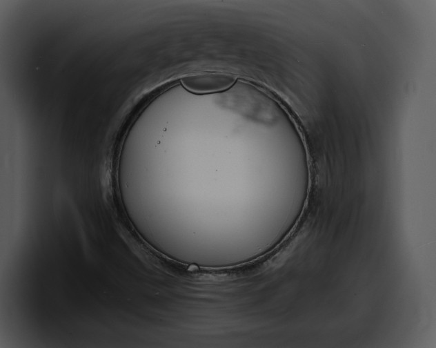 X0000100311499200806190932