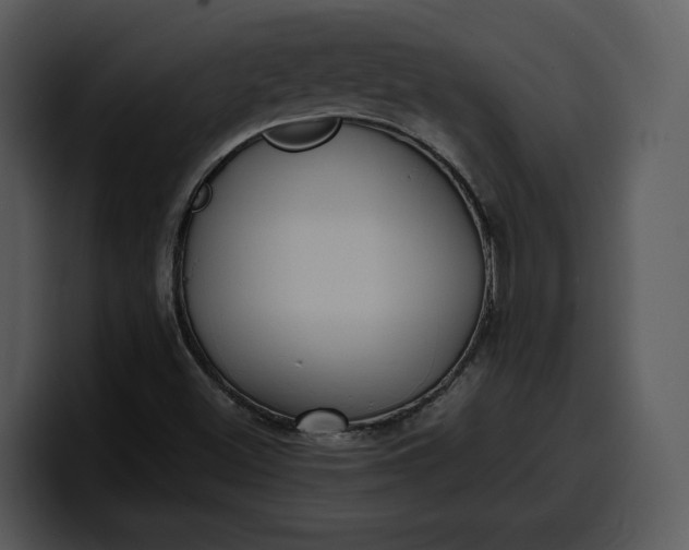 X0000100311500200806190932