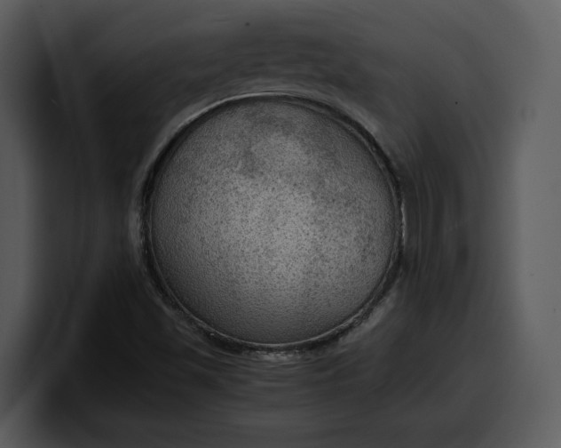 X0000100311501200806190932