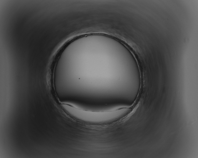 X0000100311502200806190932