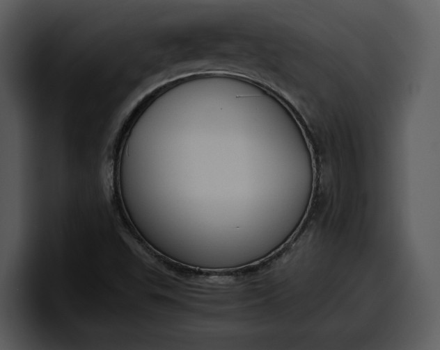 X0000100311503200806190932