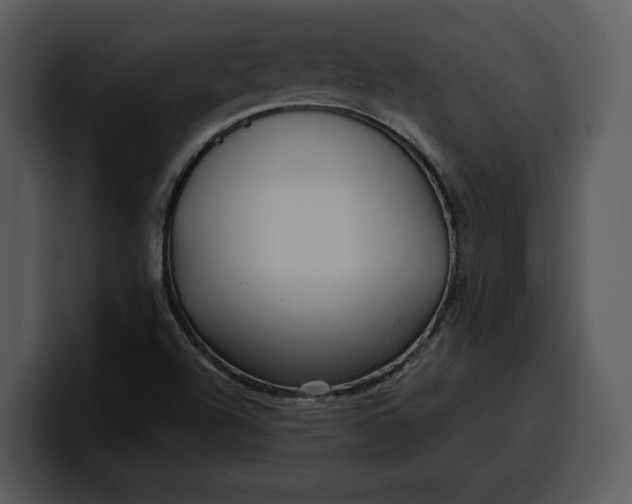 X0000100311504200806190932