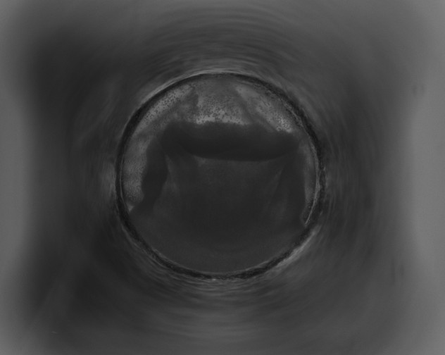 X0000100311505200806190932