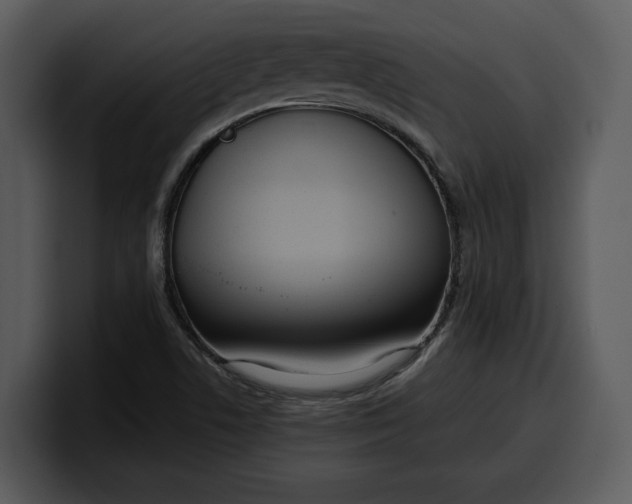 X0000100311506200806190932