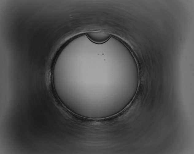 X0000100311507200806190932