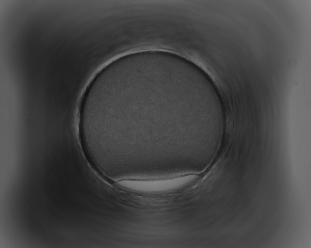 X0000100311508200806190932