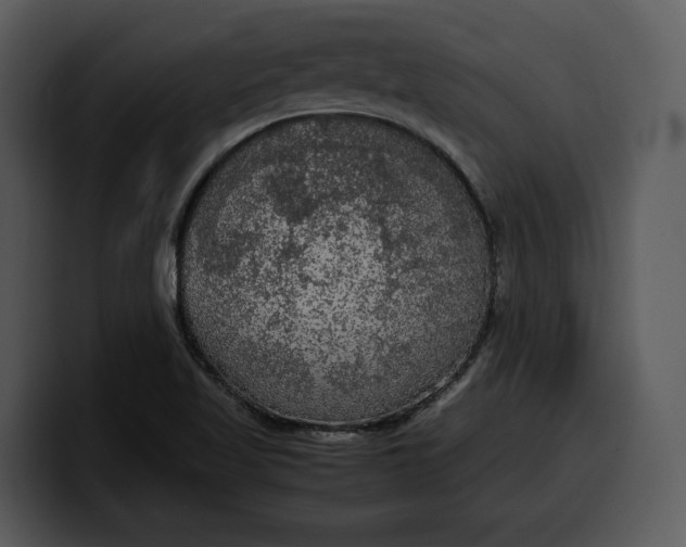 X0000100311509200806190932