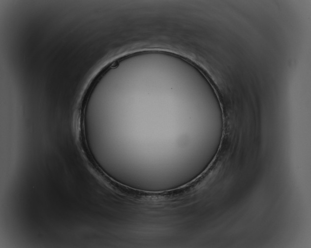 X0000100311511200806190932