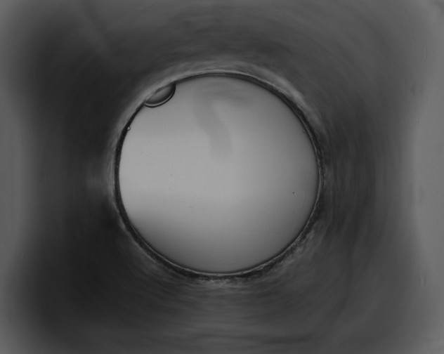 X0000100311512200806190932
