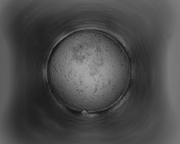 X0000100311513200806190932