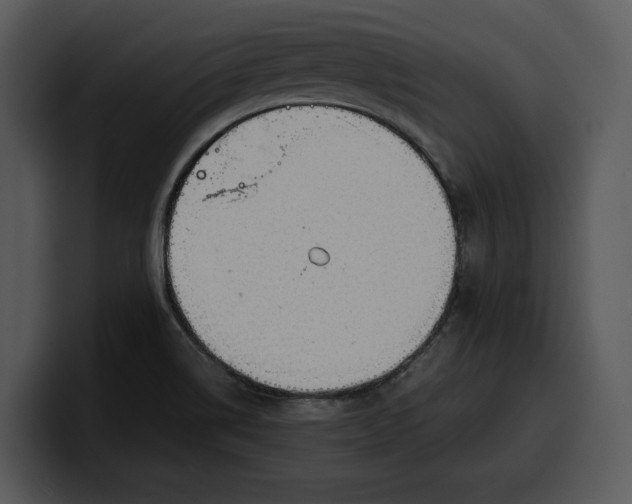 X0000100311514200806190932