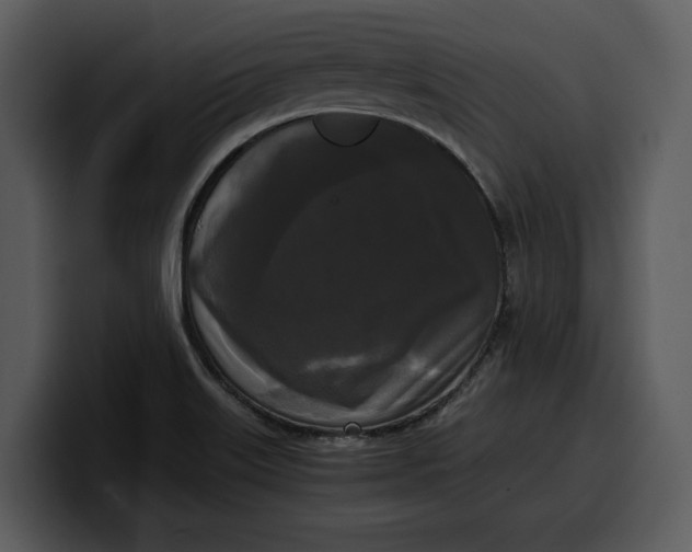 X0000100311515200806190932