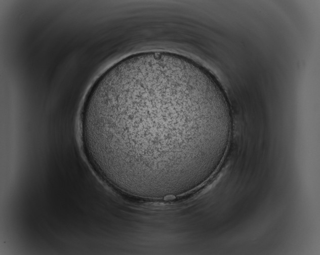 X0000100311517200806190932