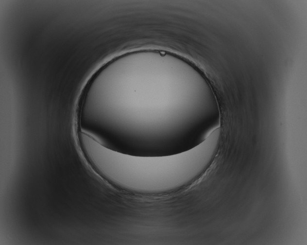 X0000100311518200806190932