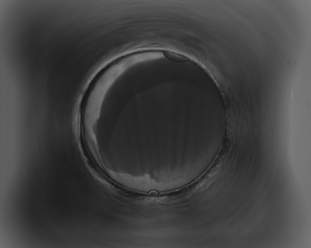 X0000100311519200806190932