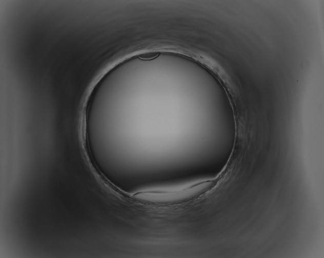 X0000100311520200806190932
