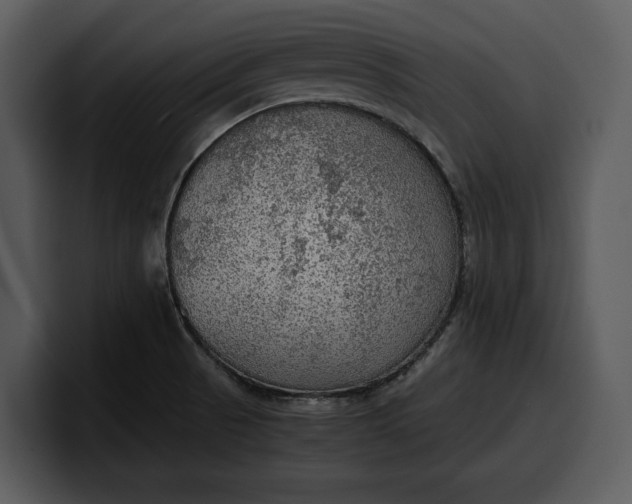 X0000100311521200806190932
