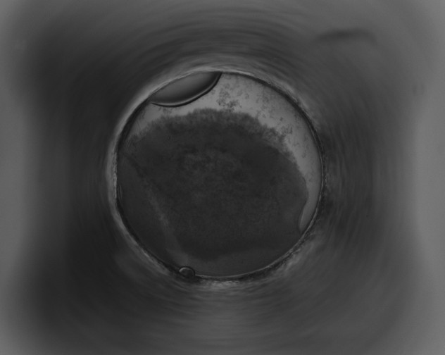 X0000100311522200806190932