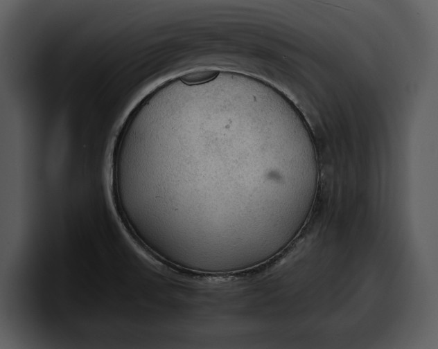 X0000100311523200806190932